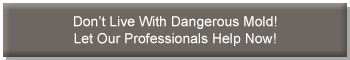 Mold problems? Let our professionals help now!