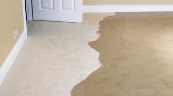 Living room carpet flooding